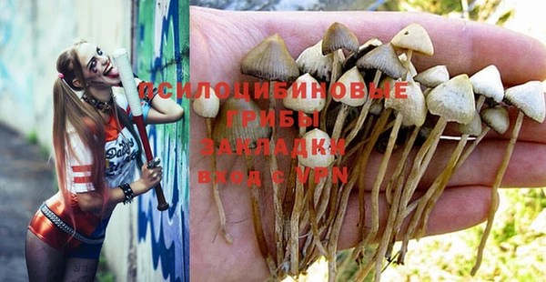 молекула духа Балахна