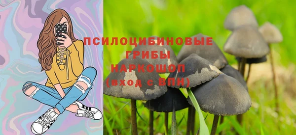 молекула духа Балахна