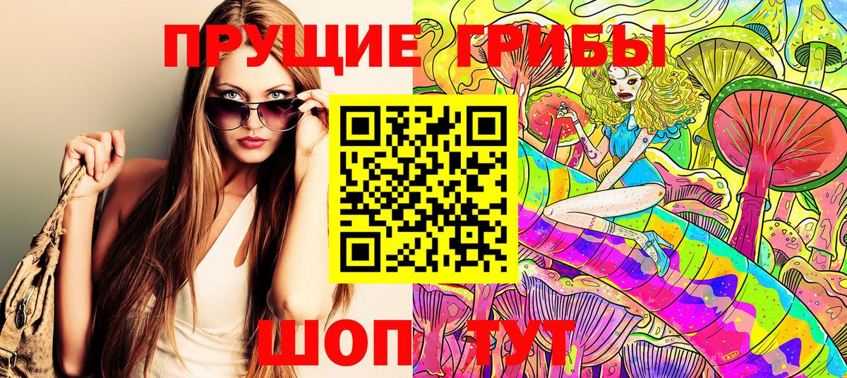 Баксан  Псилоцибиновые грибы MAGIC MUSHROOMS  Вход с VPN  Галлюциногенные грибы Cubensis 